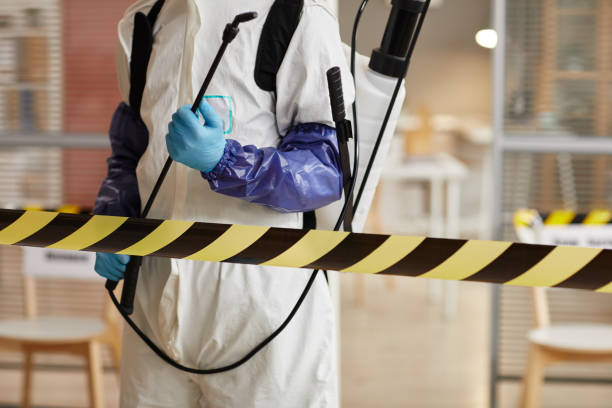 Professional Blood Cleanup technician working in Palm City, FL